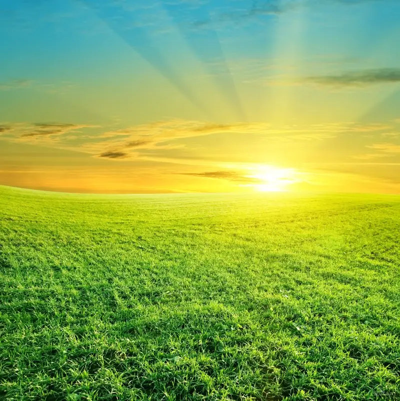 Photography Backdrops Morning Sun Shining With Boundless Radiance Custom Photo Backdrop Picture Backgrounds For Photos 41074 Backdrops Beautiful Backdrop Pricesbackdrop Stand Aliexpress
