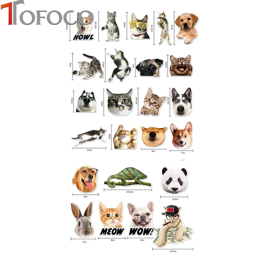 xq01185stickE6