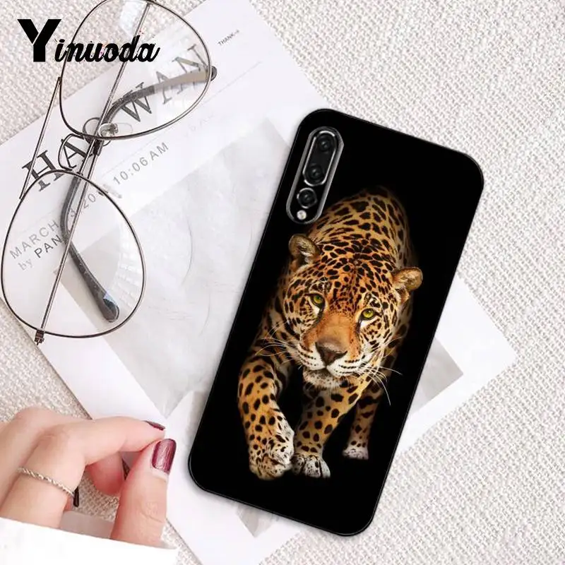 Russian version wolf tiger lion Leopard bear animal