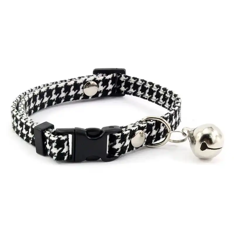 small female dog collars