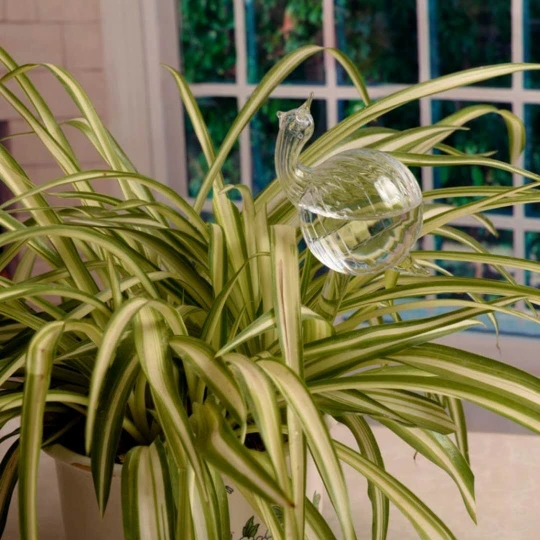 Абсолютно 6 видов стеклянных растений цветы подачи воды самополив птица звезда сердце дизайн автополив для растений в домашнем саду