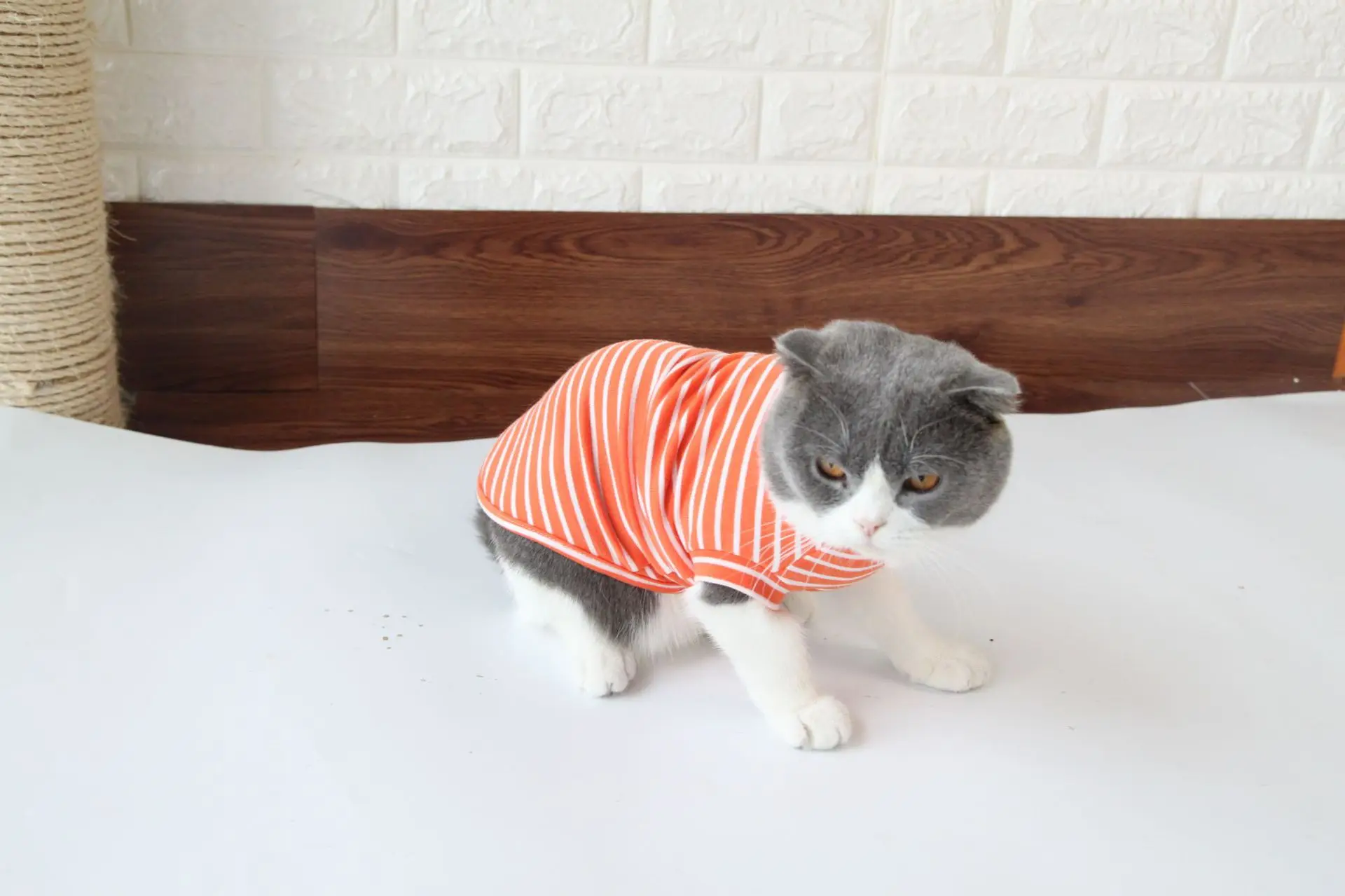 Новая модная одежда для кошек; сезон весна-осень; костюм для домашних животных; мягкая дышащая хлопковая двухногая полосатая футболка; Пижама для маленьких собак; котенок