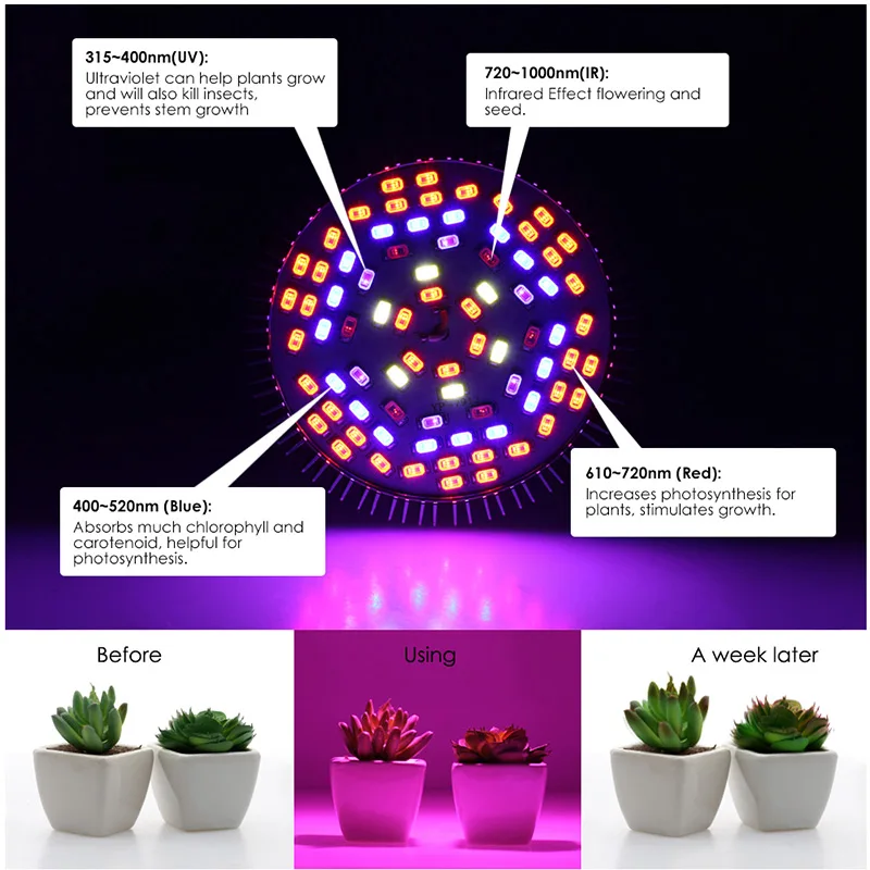 LED Plant Grow Light Lamp Full Spectrum E27 Durable For Flower Seeds Greenhouse Indoor 7/10W/30