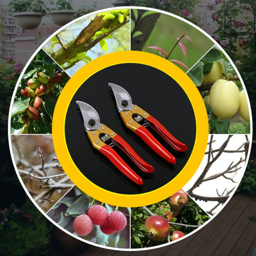 Новый Обрезка ножниц инструменты для ёлки ножницы для нарезки фруктов и овощей секаторы режущий инструмент сад Садовые ножницы секаторы