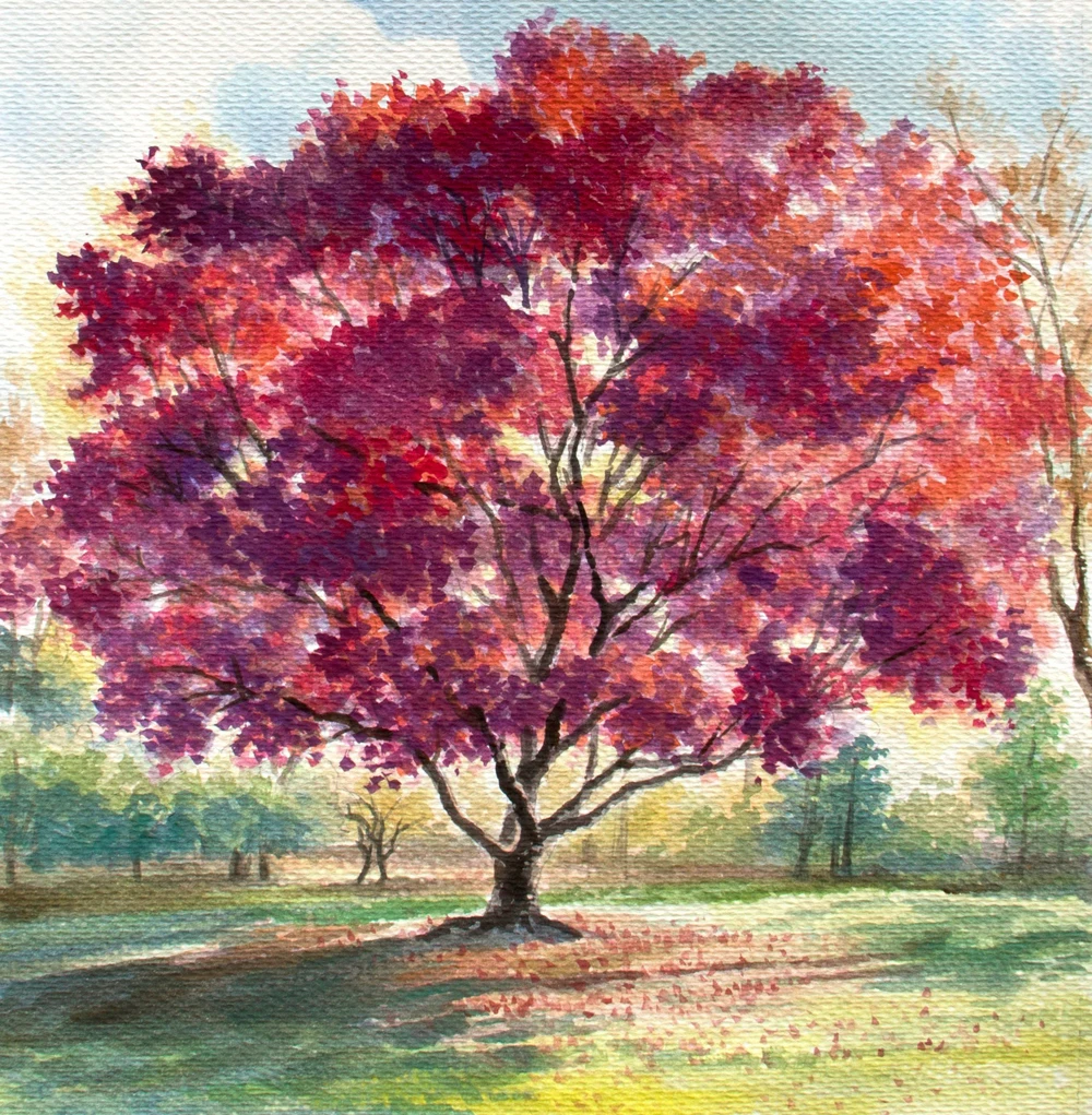 1120--10x10 --1000