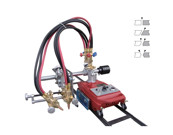 CG1-30SP-300 L