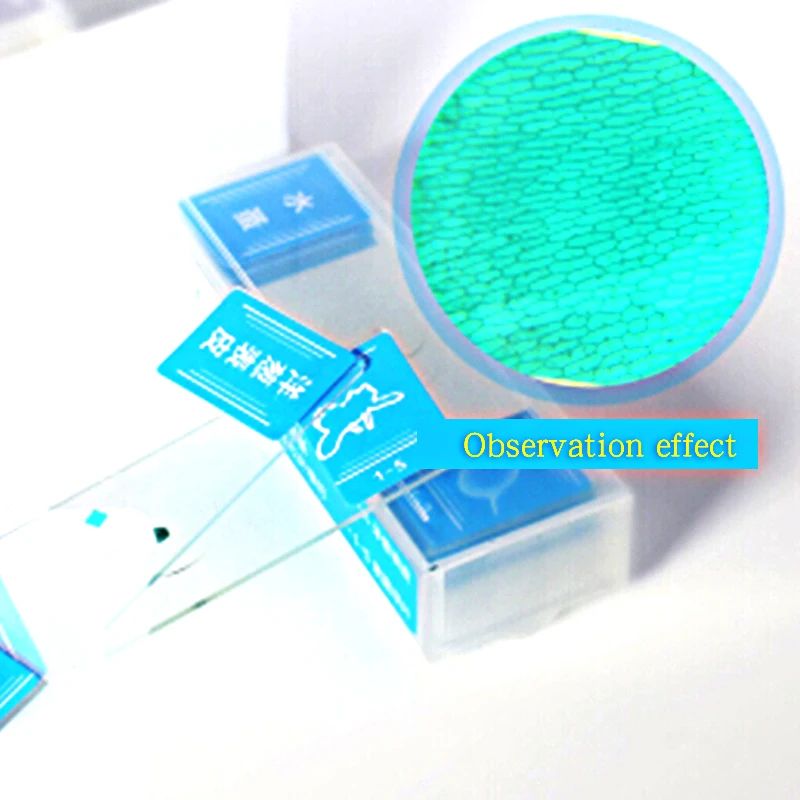 5ab85a05Na496a13a1