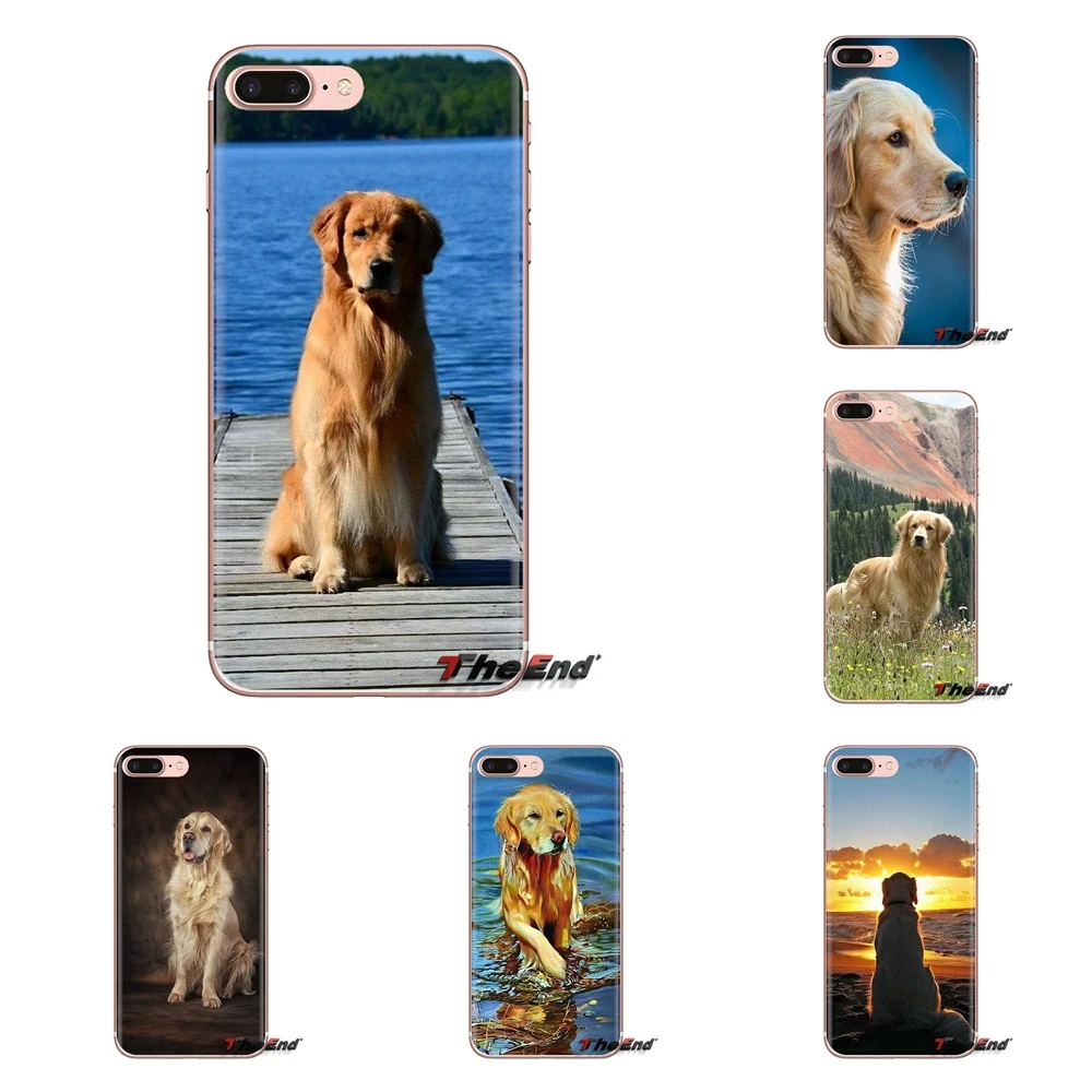 For Samsung Galaxy J1 J2 J3 J4 J5 J6 J7 J8 Plus 2018 Prime 2015 2016 2017 Transparent Soft Cases Covers Golden Retriever Dog |
