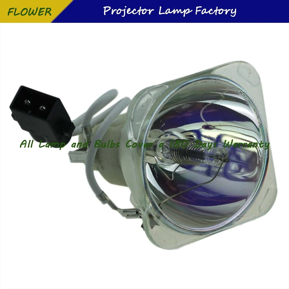 

9E.0C101.001/9E.0C101.011 Replacement Projector Lamp/Bulb For BenQ SP920 180 Days Warranty