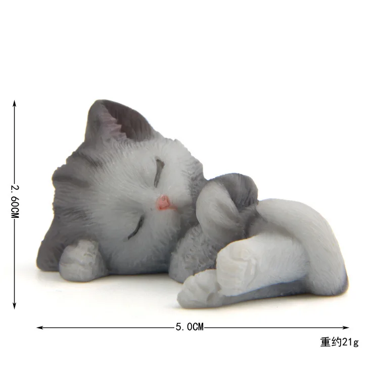 sku-5