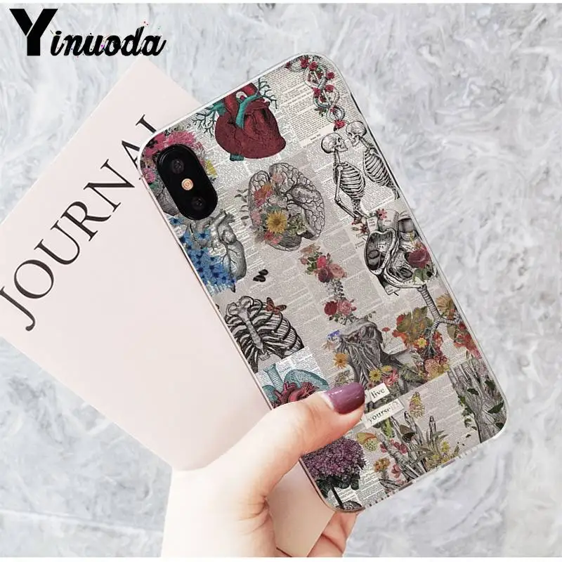 Art Beautiful Tumblr New Aesthetic Skull Floar
