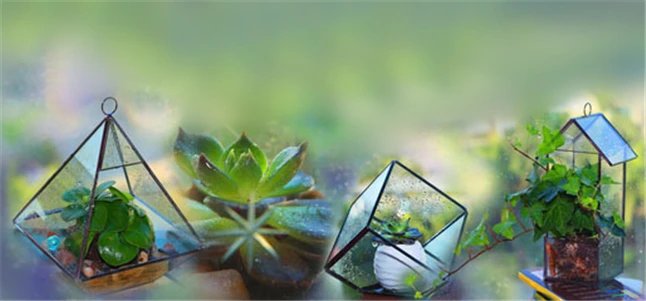 Glass Terrarium2.jpg