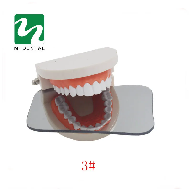 Dental Examination Mirror Dental Intraoral Mirror - 2-Sided
