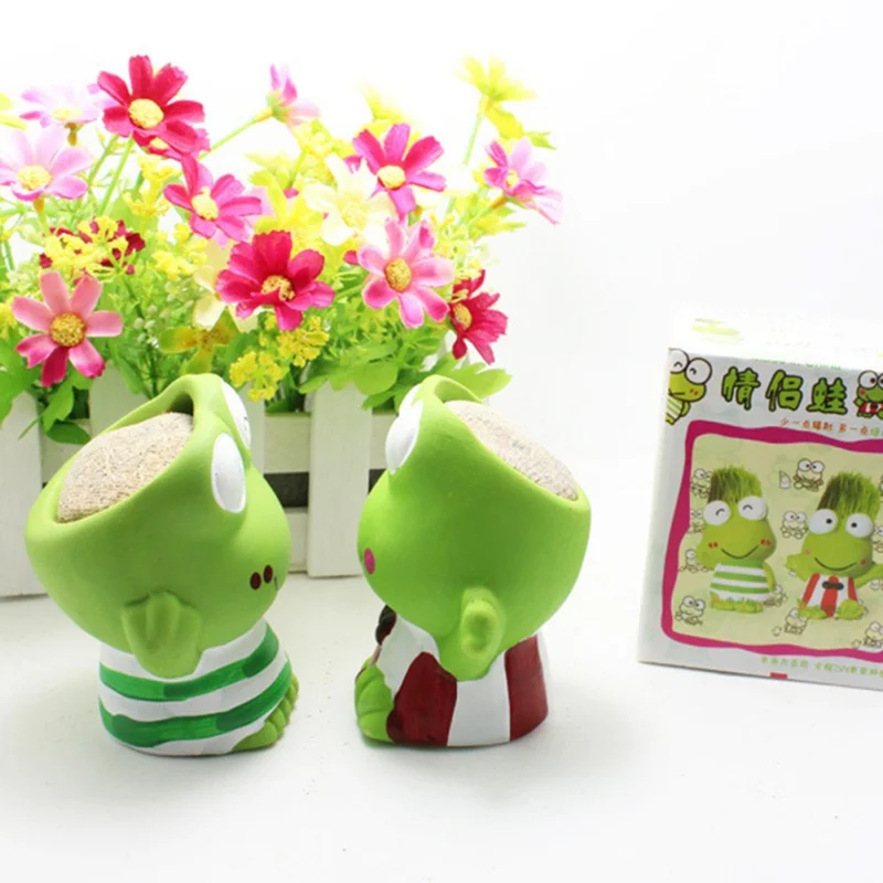 Экологический домашний завод ремесла мульти-мясо цветочный горшок офис подарок свинья пара кукла