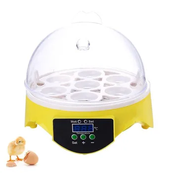 

Mini 7 Egg Incubator US AU EU Plug Poultry Incubator Brooder Digital Temperature Control Egg Hatcher For Chicken Bird Egg
