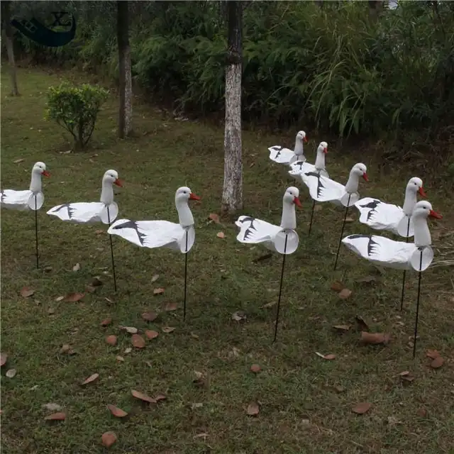 Goose Decoys For Sale >> Us 65 99 Xilei Factory Directly Sell Outdoor Hunting Tyvek Goose Hunting Windsock Goose Hunting With Ground Stake In Hunting Decoy From Sports Goose Decoys For Sale >> Us 65 99 Xilei Factory Directly Sell Outdoor Hunting Tyvek Goose Hunting Windsock Goose Hunting With Ground Stake In Hunting Decoy From Sports