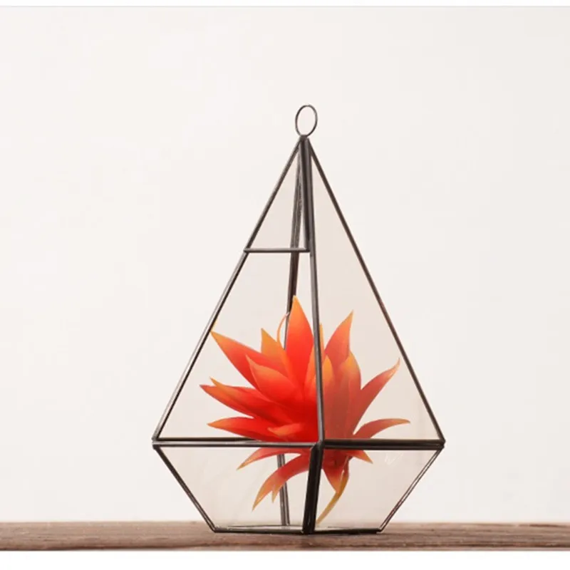 buy Glass cover meat flower pot geometry iron decoration bookcase tv cabinet
