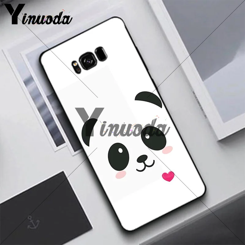 Cute animal panda (2)