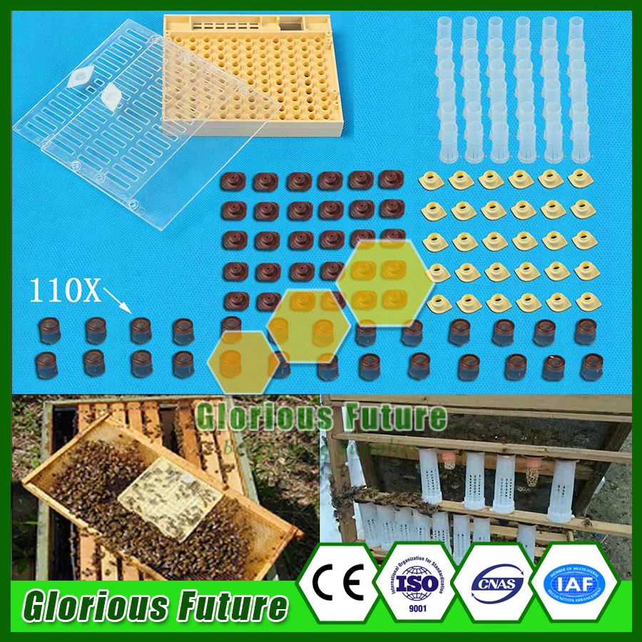 Rearing Cup Kit Beekeeping Queen Bee Roller Cages Cell Holder Fixtures 10X Lots