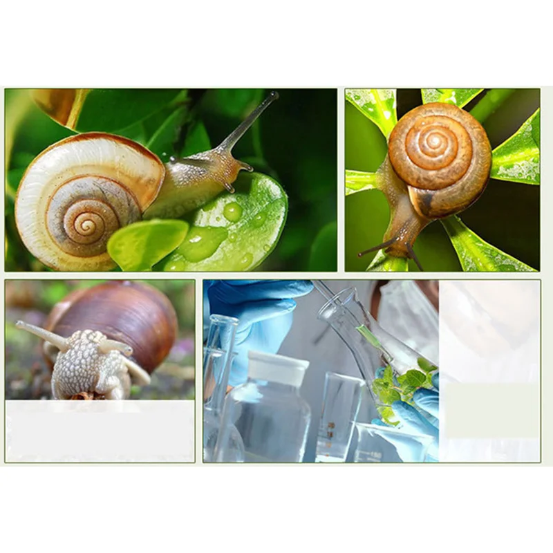 Meixi-Snail-White-Cream-Face-Care-Cream-Moisturizing-Anti-Aging-Acne-Anti-Wrinkle-Whitening-Snail-Cream (2)