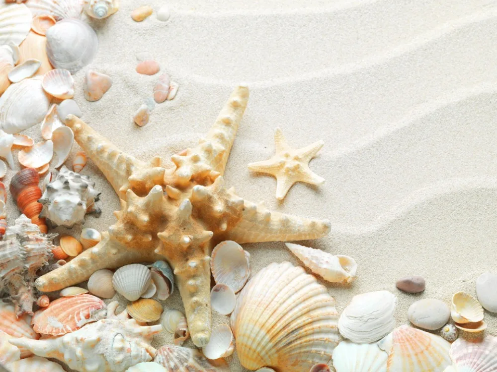 O-Starfish-03(44x33cm)