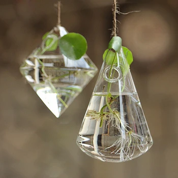 

Hanging Glass Vase Flower Container Garden Terrarium Planter Clear Plant Decor