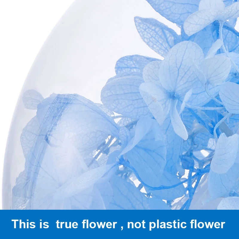 air humidifier (4)