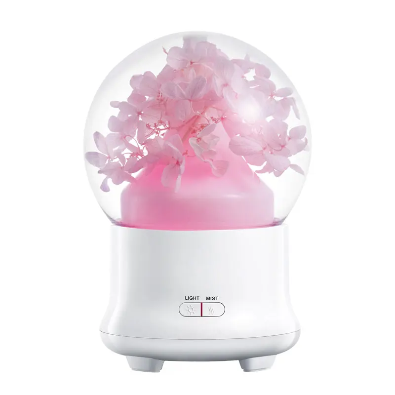 air humidifier (7)