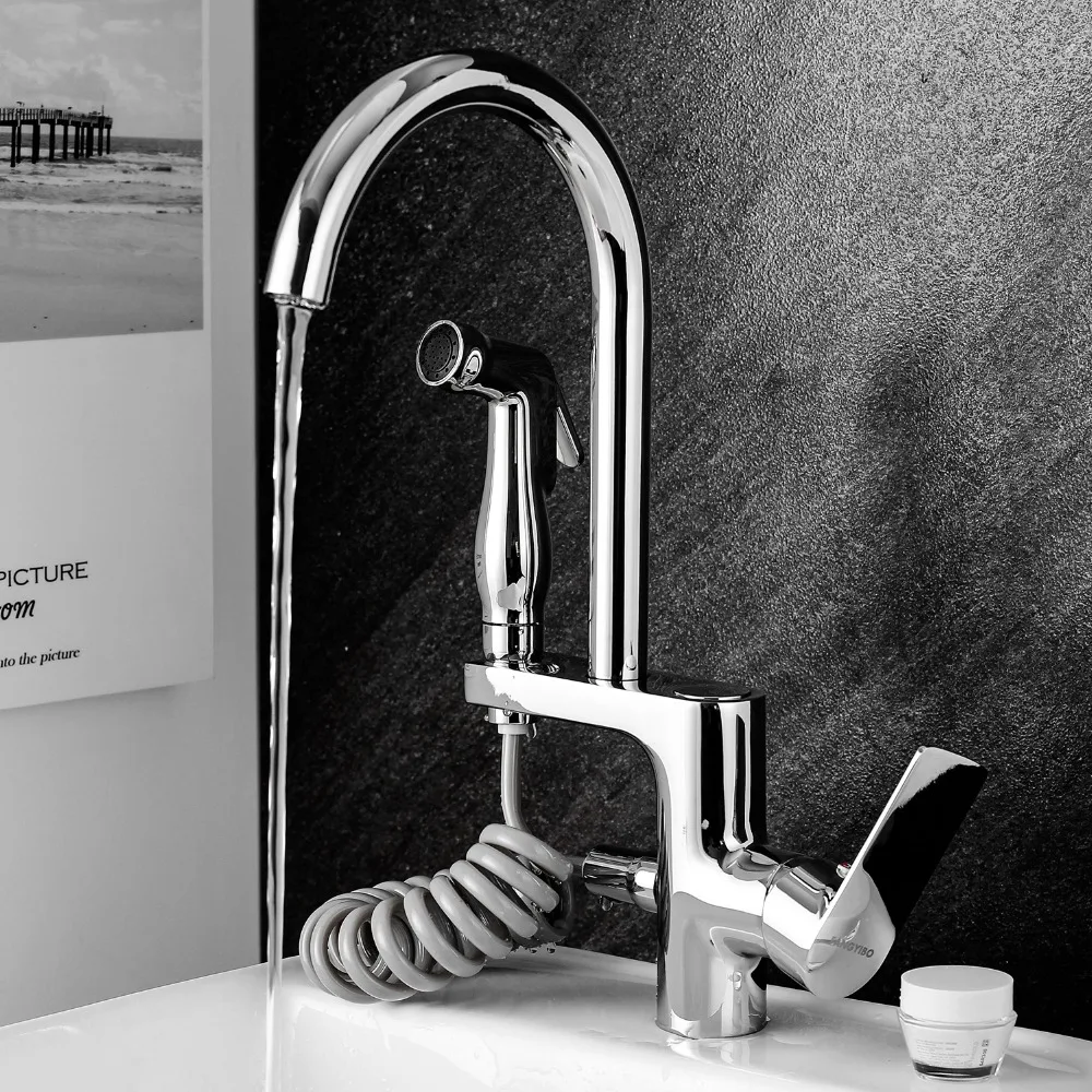 

Chrome Faucet Spring Pull Down Kitchen Dual Spouts 360 Swivel Hand Held Shower Kitchen Mixer Crane 2 Outlet Spring Taps