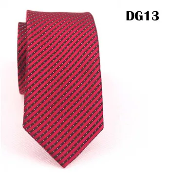 DG13