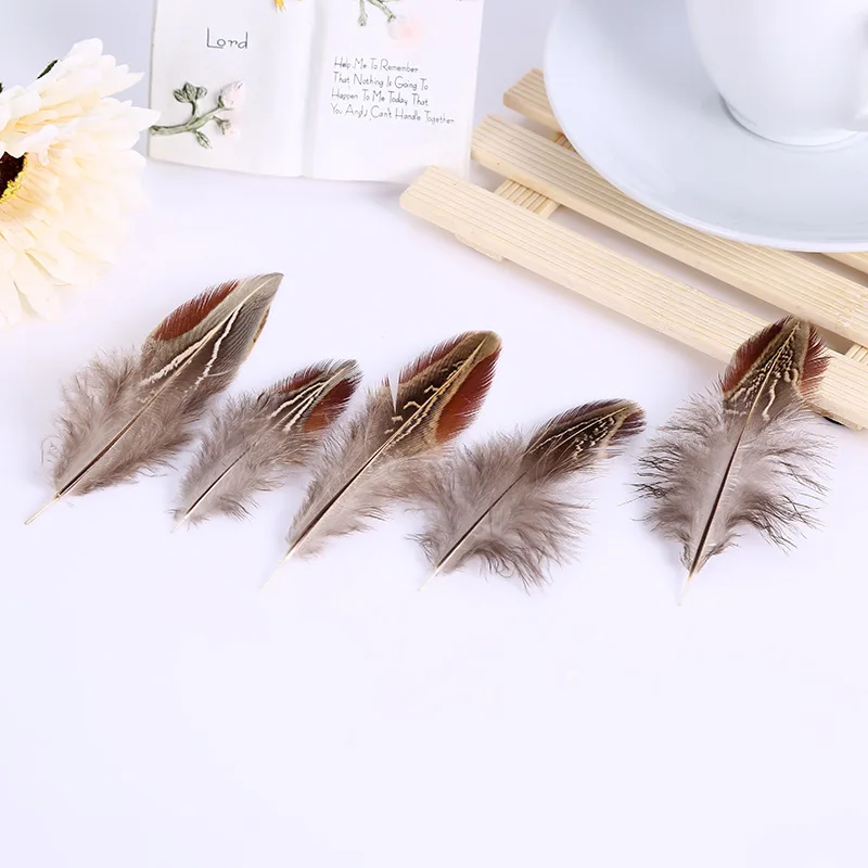 

Natural Pheasant Feather 2-4 Inch 5-10cm Natural Chicken Plume Feathers for Crafts DIY Wedding Decorations Plumes 50Pcs/lot