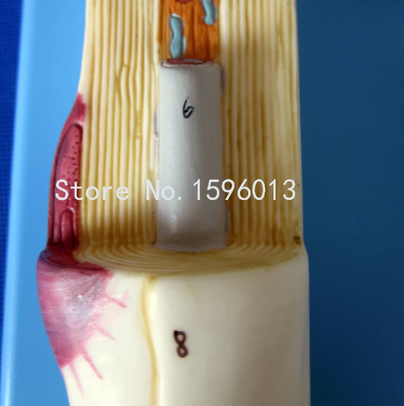 A18001 13.jpg