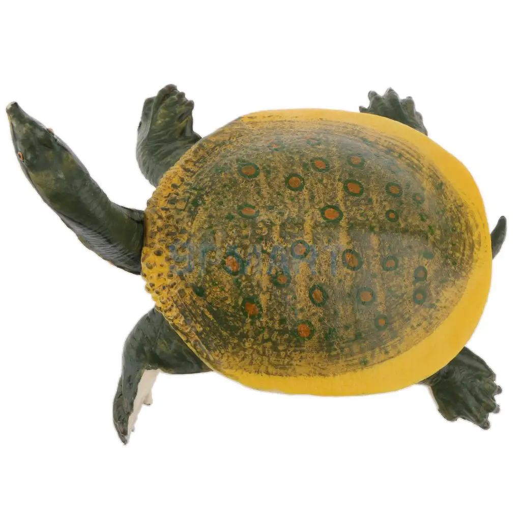 Animals Figure Toys Sea Soft-shelled turtle Animals Model Aquarium Toys Realistic Wild Pastic Figurine Animal Developmental Toy
