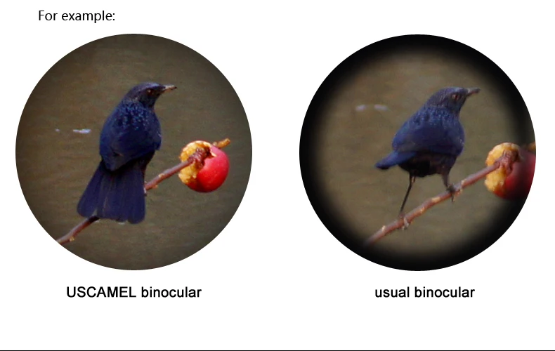 UW036 binoculars desc (6)