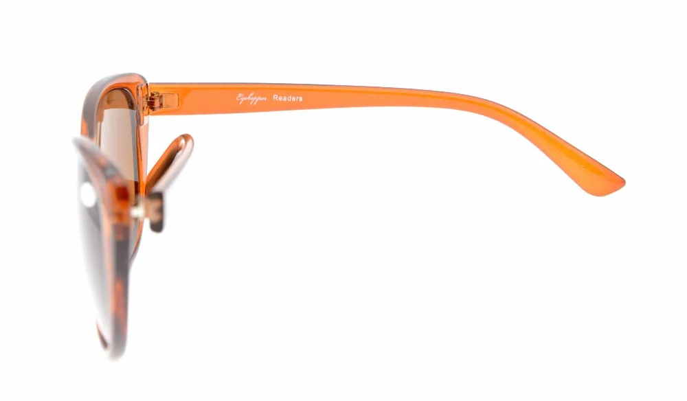 S033 BrownLens (2)