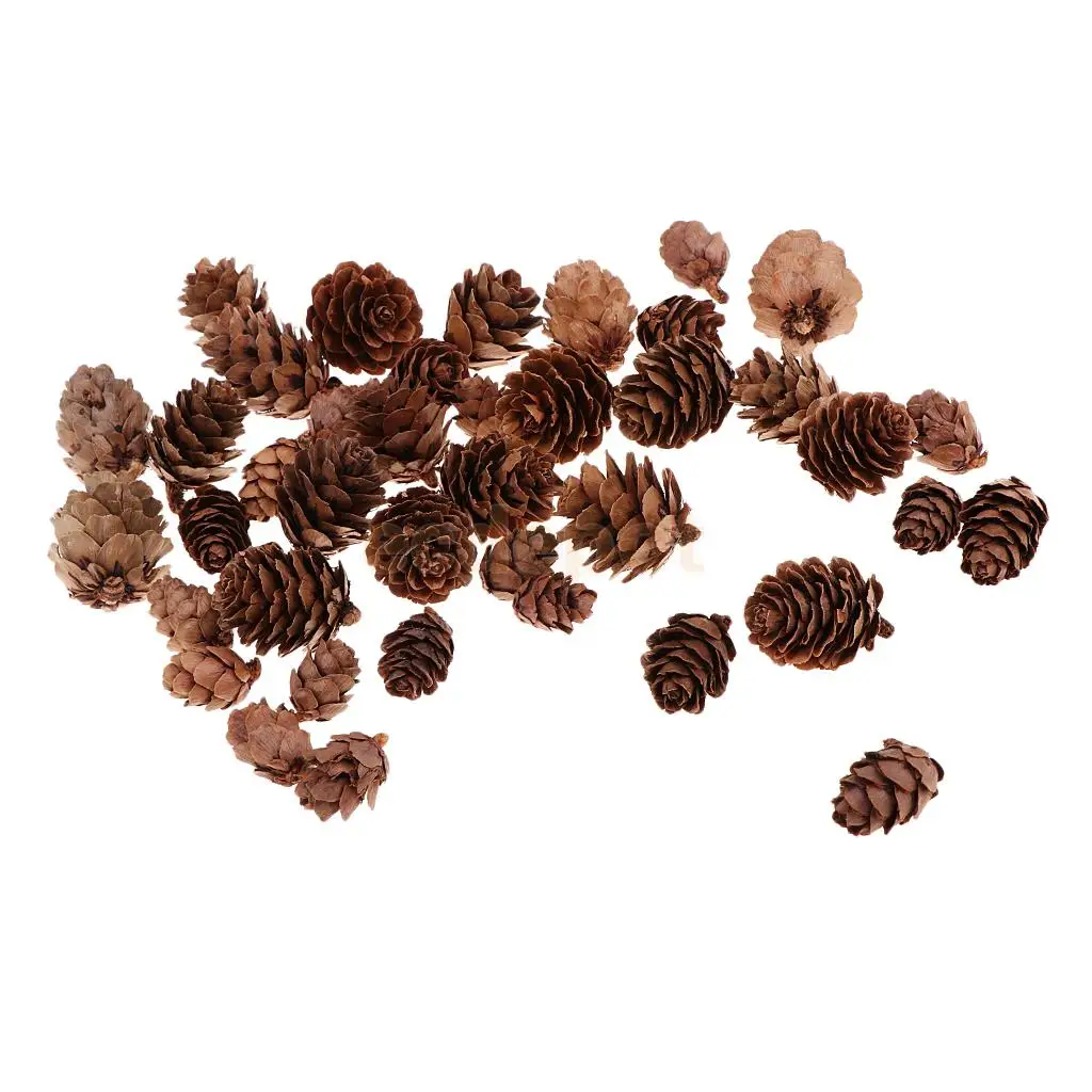 MagiDeal 50Pcs Mixed Size Mini Natural Rustic Dried Pine Cones In Bulk For Christmas Party Ornament Florists Wrapping Decoration