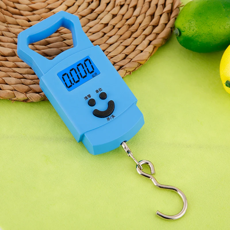 

can choose Color Accurate Portable Scale 50kg Hand held