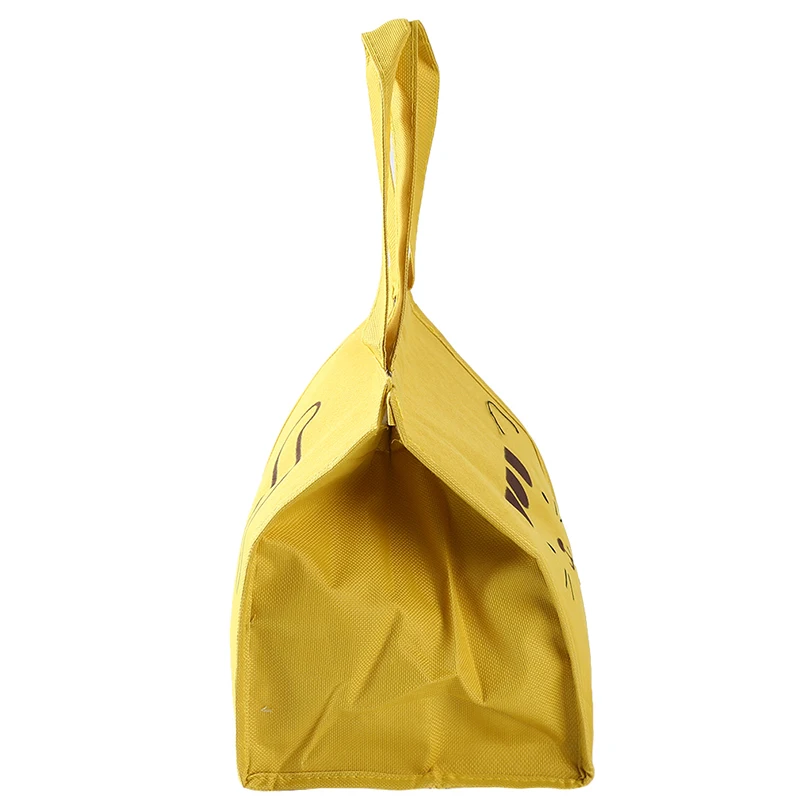 Большой Ланч-бокс с мультипликационной изоляцией, крутая сумка для еды, переносная водонепроницаемая сумка для ланча, коробка для хранения для пикника, переносная сумка