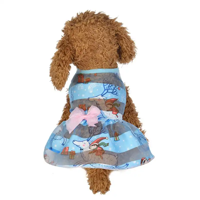 Yurumek Kimse Adi Cikmis En Ucuz Kopek Elbiseleri Yamanlarnakliyatcorlu Com