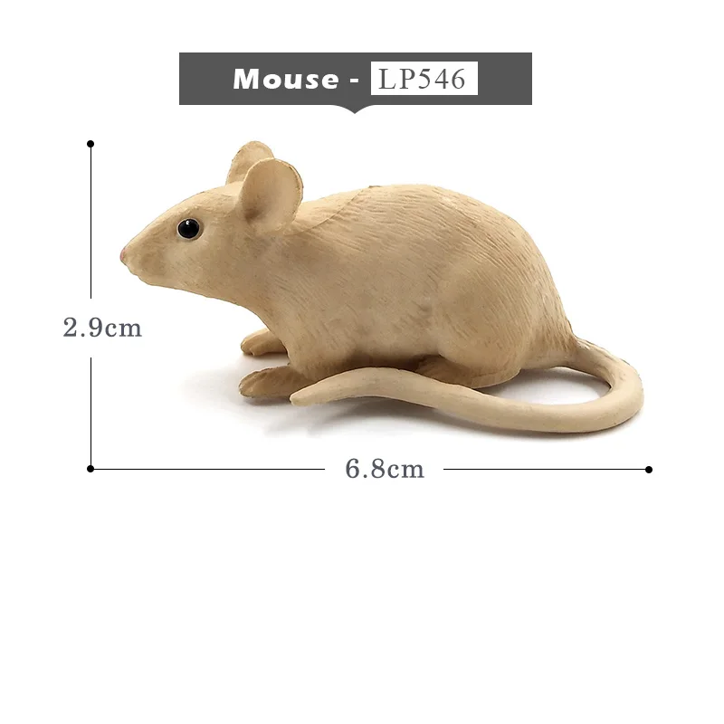 mouse