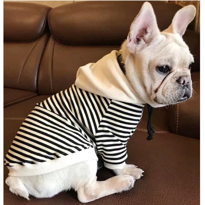 Толстовка для маленьких и средних собак демисезонная в полоску|dog hoodie|dog clothes