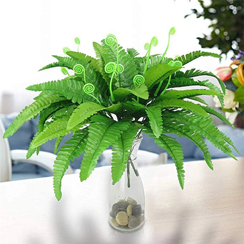 plant-5