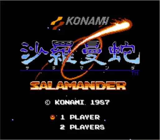 

Salamander Game Cartridge for NES Console