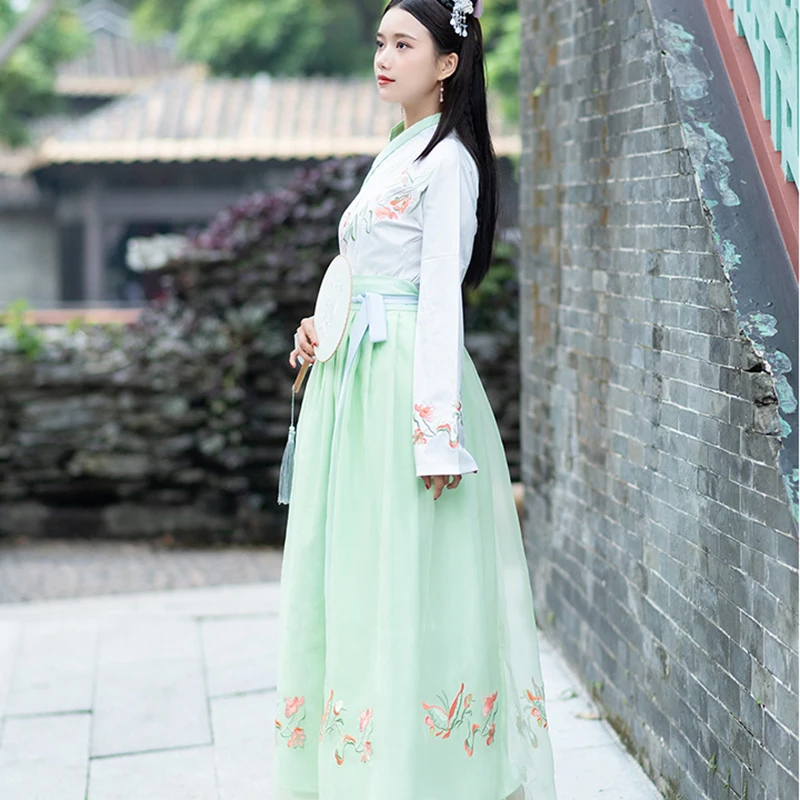 Hanfu китайские танцевальные костюмы Весенний костюм ханьфу Древний китайский костюм hanfu Женская традиционная китайская одежда для женщин