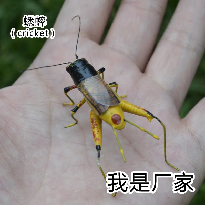 7*5 سنتيمتر طين فن التماثيل الحيوانية عالية تقليد الكريكيت الحشرات ، diy الجنية حديقة المنمنمات المنزل اكسسوارات الديكور ، والأطفال اللعب