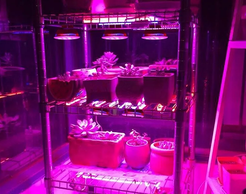 12w led grow light 