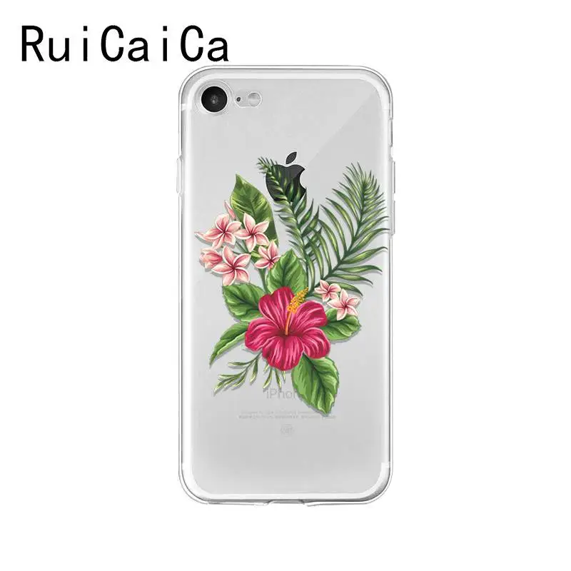 flower plant peony rose sunflower Lotus