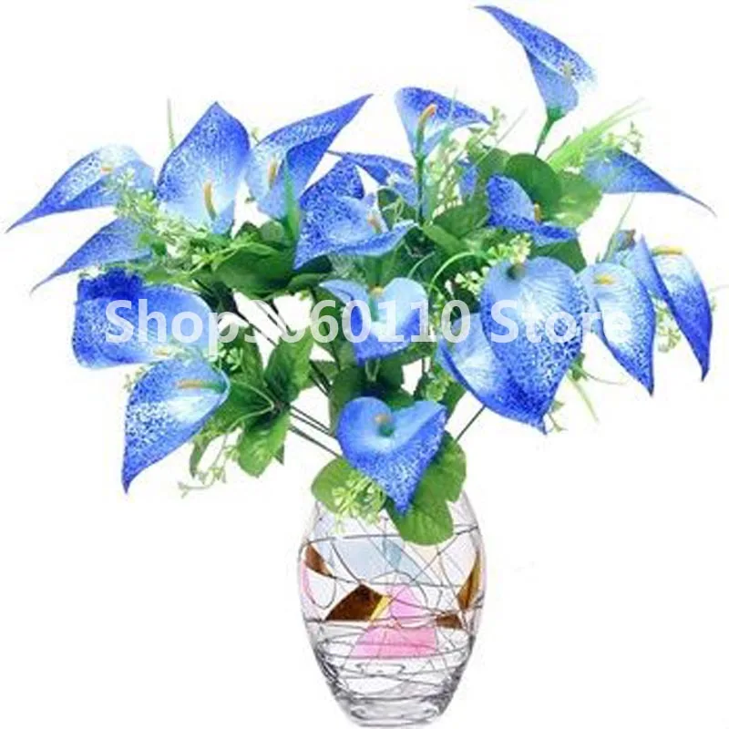 

garden decoration Available,100pcs Lily Garden, Calla Lily Bulbs, Rhizome zantedeschia aethiopica, Bonsai plant for balcony.