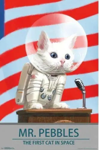 Фоллаут 4-МР камушки-видео игры SPACE CAT Шелковый плакат декоративной живописи 24x36inch
