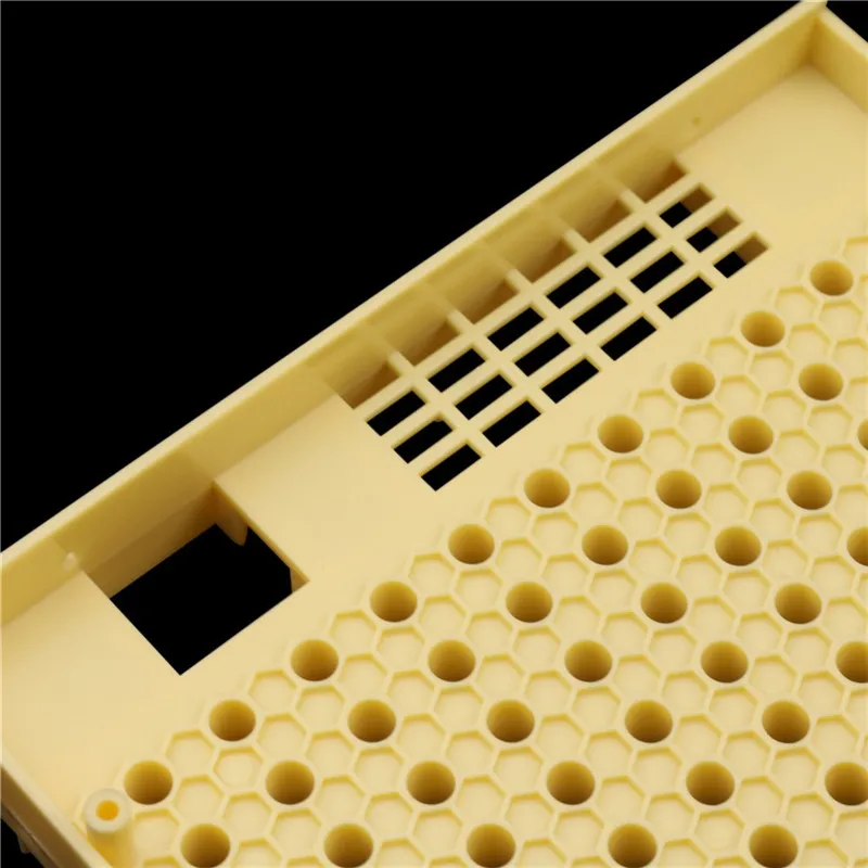 1 Pcs Plastic Bee Queen Box Queen Rearing Box Cultivate Bee Tool Beekeeping Tool Plastic Durable Does Not Harm